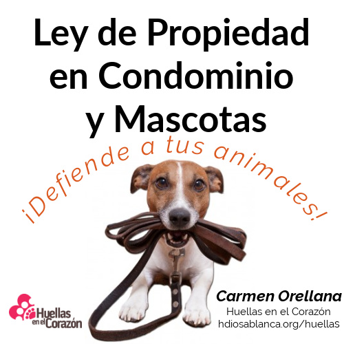 Ley de Propiedad en Condominio y Mascotas -Parte 2