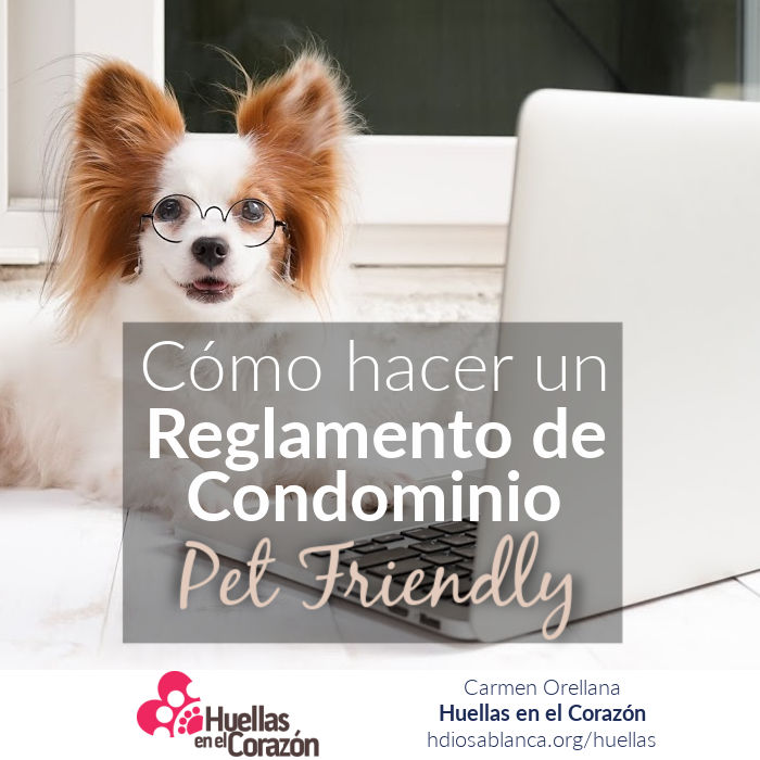 Cómo hacer un Reglamento de Condominio Pet Friendly -Parte 3