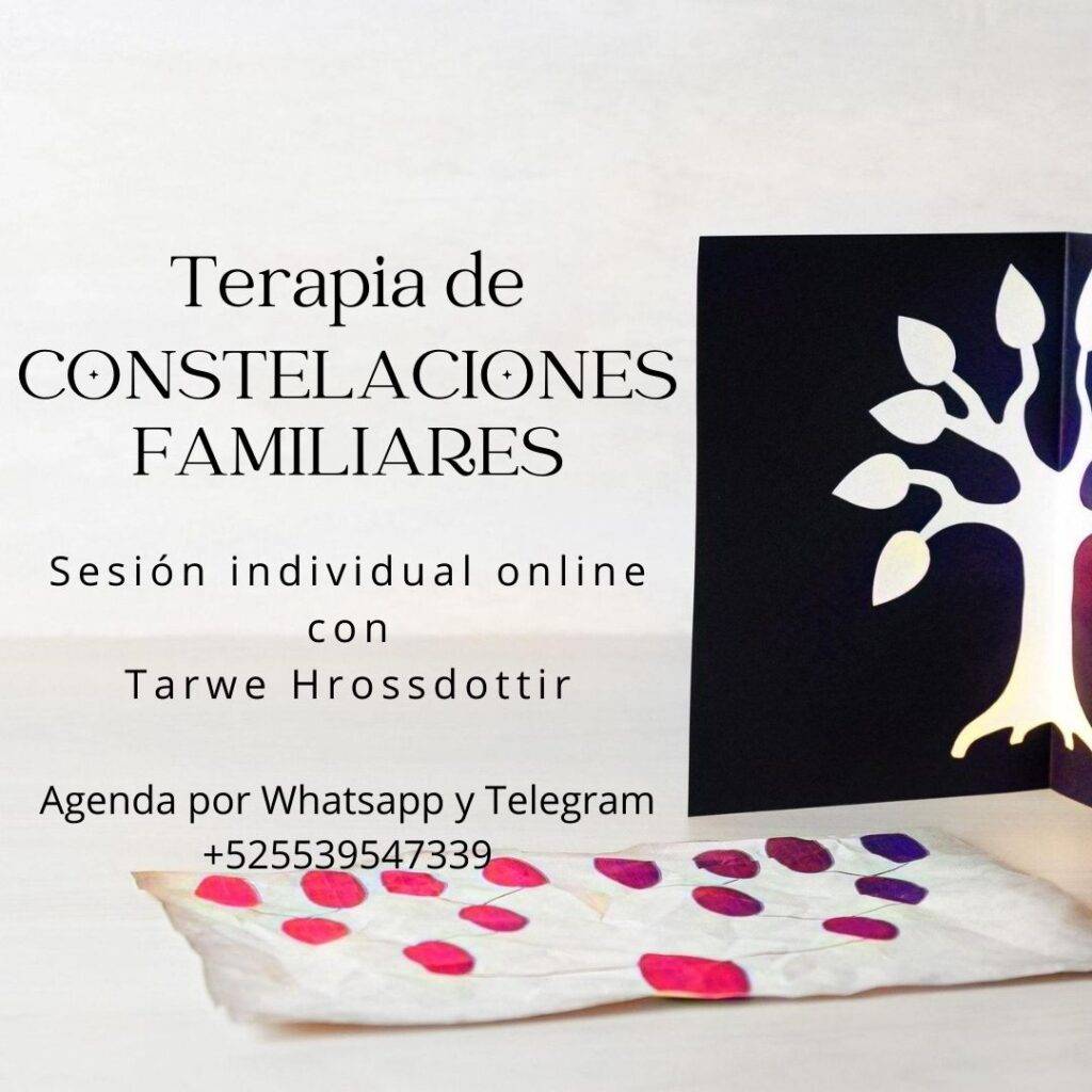 Terapia Cosntelaciones Familiares online individual