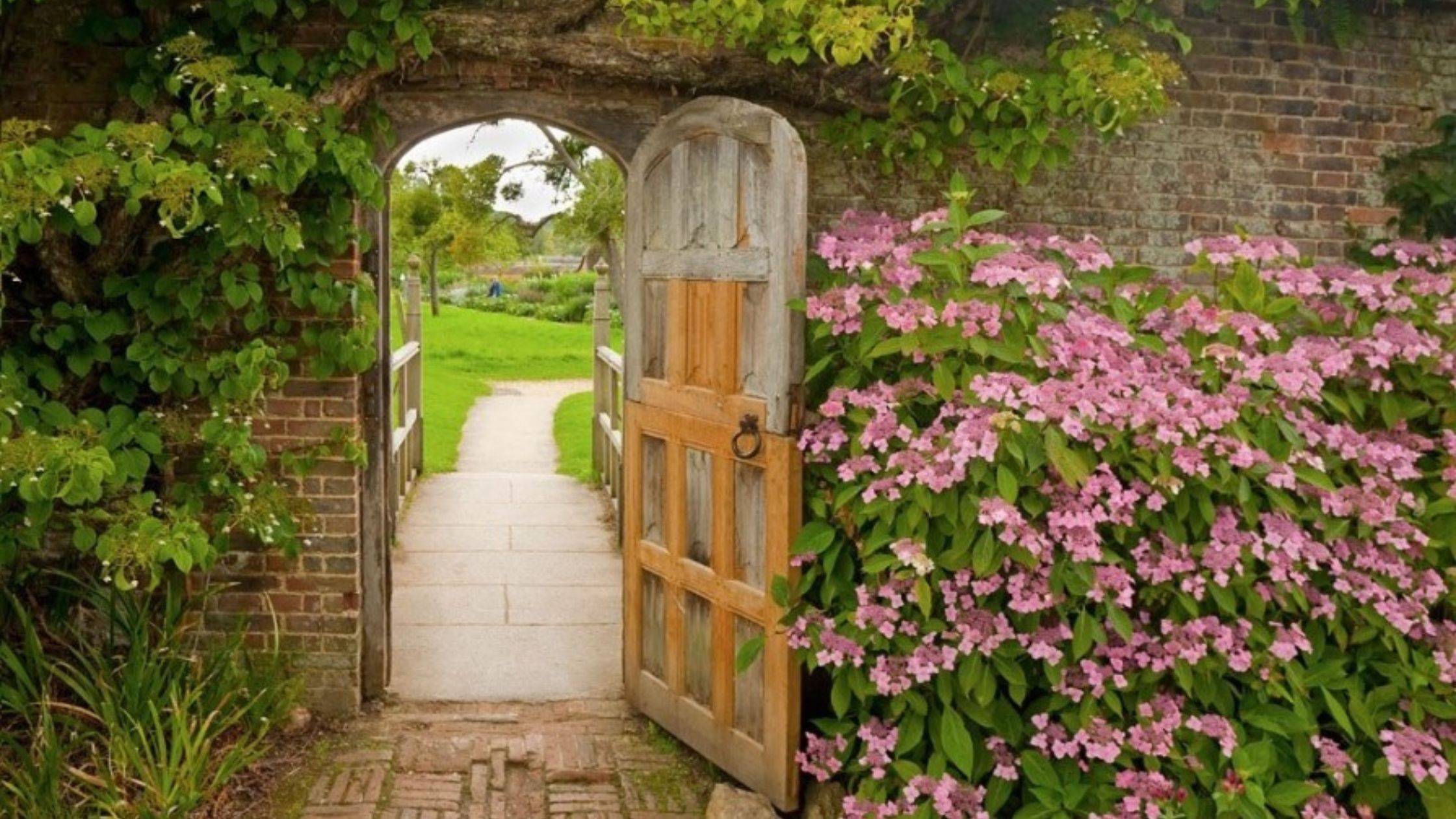 Rituales AbreCaminos