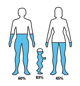 Proporción de agua en niños, hombres y mujeres.