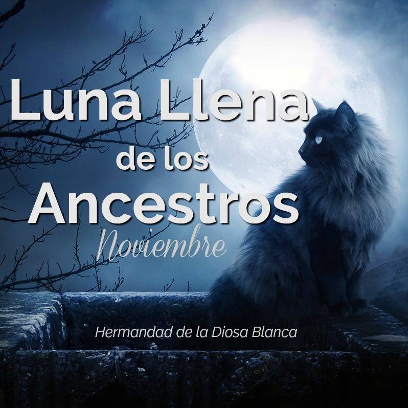 Luna Llena de Noviembre, Luna Llena del Castor, Luna llena de los ancestros