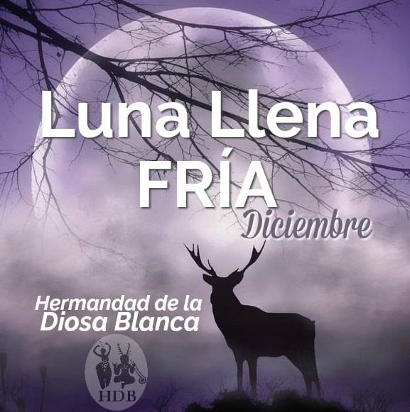 Luna Llena de Diciembre ~ Luna Llena Fría~ Magia Lunar