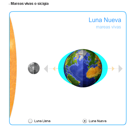 Fases Lunares: Luna Nueva